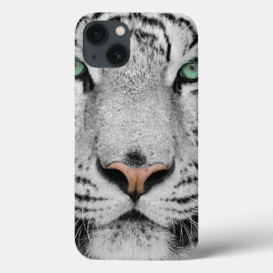 Vittiger