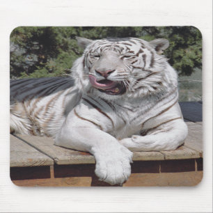 Vittiger 10 Mousepad Musmatta