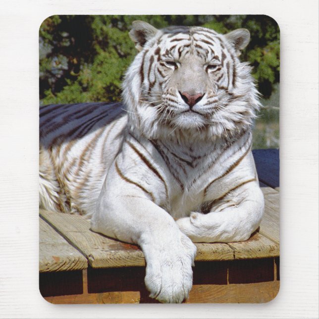 Vittiger 9 Mousepad Musmatta (Framsidan)