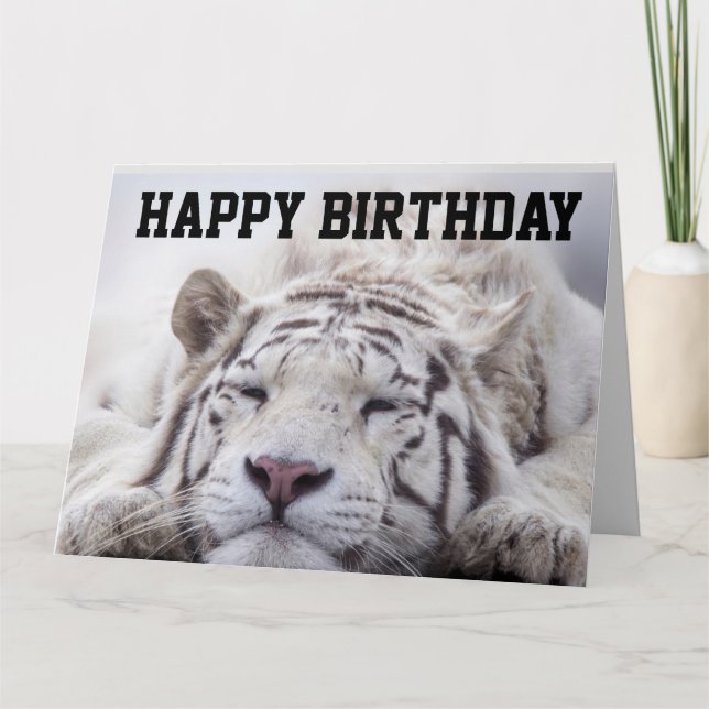 VITTIGER CAT NAP, EAT CAKE, BIRTHDAY BIG CARD KORT (Framsida)