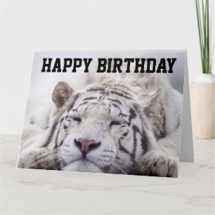 VITTIGER CAT NAP, EAT CAKE, BIRTHDAY BIG CARD KORT