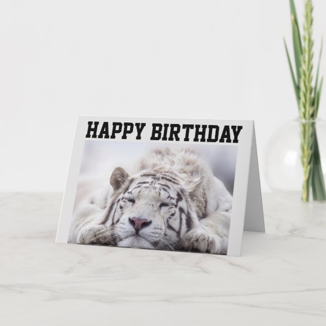 VITTIGER NAP, EAT CAKE, BIRTHDAY CARD KORT (Framsida)