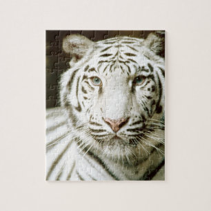 Vittiger Pussel