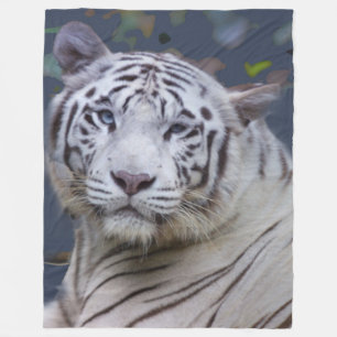 Vittigerfilt Fleecefilt