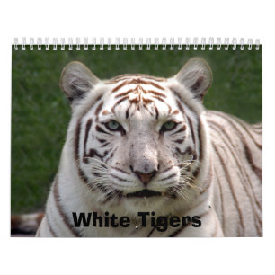 Vittigerkalender, vittigrar kalender