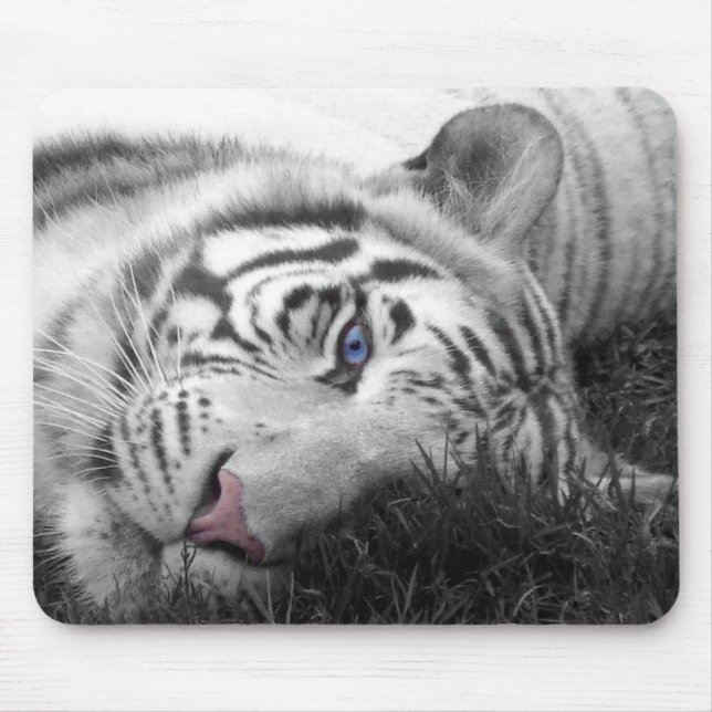 Vittigermousepad Musmatta (Framsidan)