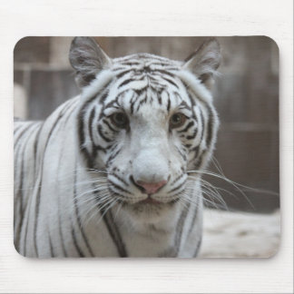 Vittigermousepad Musmatta