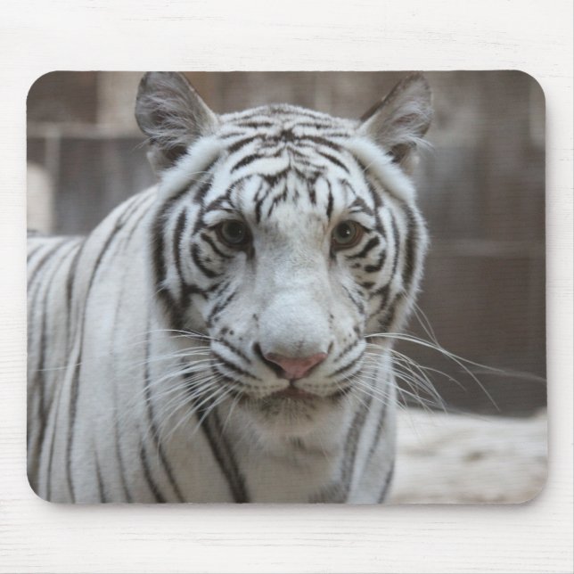 Vittigermousepad Musmatta (Framsidan)