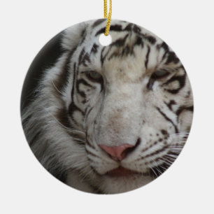 Vittigerprydnad Julgransprydnad Keramik