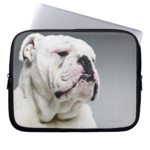 Vittjurhund Laptop Fodral