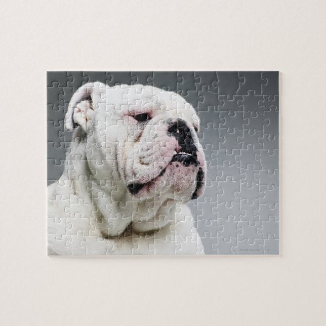 Vittjurhund Pussel (Horisontell)