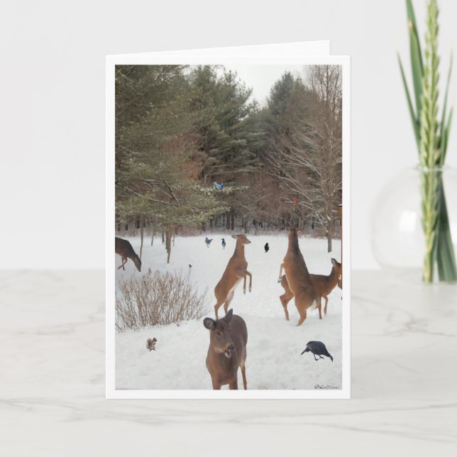 Vittnesmål till naturens skönhet kort (Framsida)