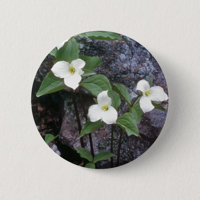 vitTrilliumblommor Knapp (Framsida)