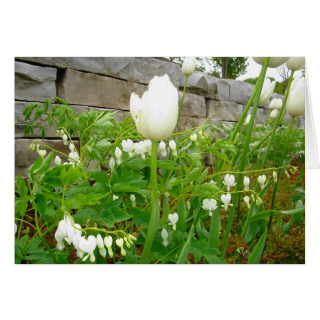 Vittulpan OBS Kort (Framsidan Horizontal)