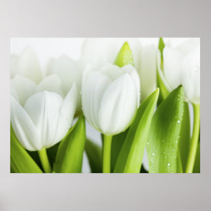 Vittulpan Poster
