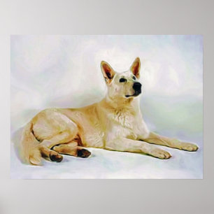 Vittysk-shepherd Poster