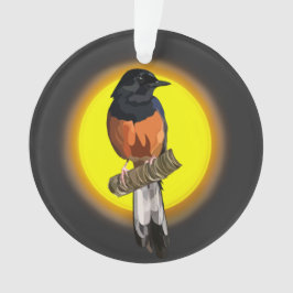 Vituppringd Shama Bird Ornament