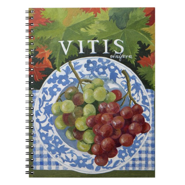 Vitus Anteckningsbok (Framsidan)