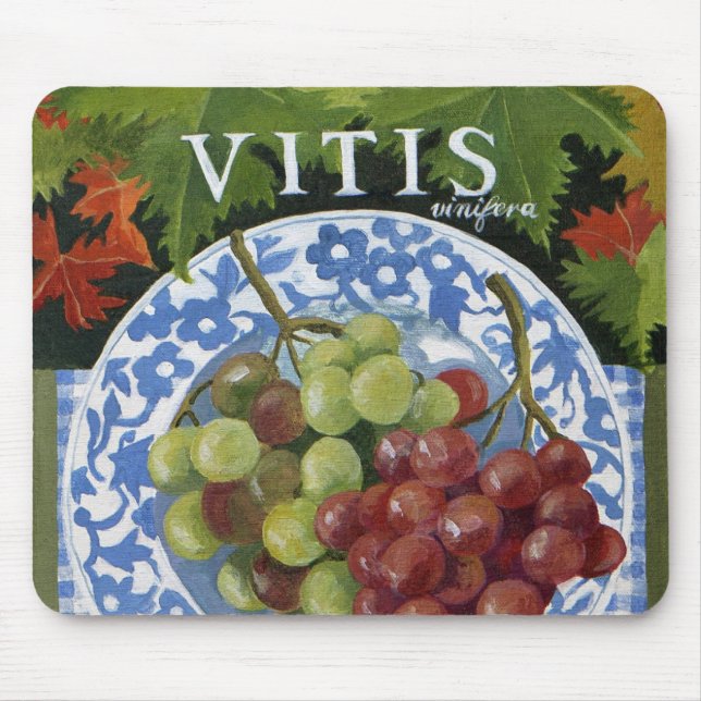 Vitus Musmatta (Framsidan)