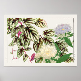 Vitus och Stokesia Flowers av Tanigami Konan, Poster