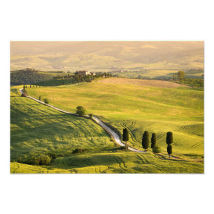 Vitvägen i Tuscany landskap fototrycket Fototryck