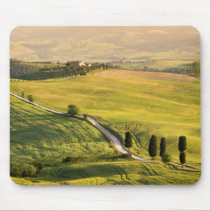 Vitvägen i Tuscany landskap mousepad Musmatta