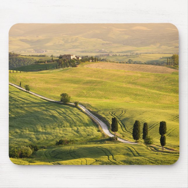 Vitvägen i Tuscany landskap mousepad Musmatta (Framsidan)