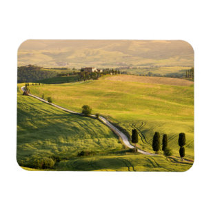 Vitvägen i Tuscany landskap rektangelmagneten Magnet