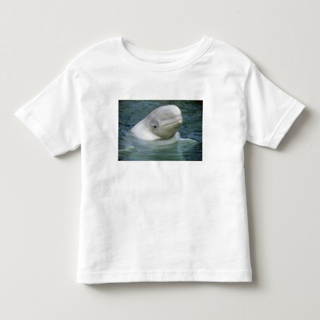 Vitval, Delphinapterus leucas) Tee Shirt (Framsida)