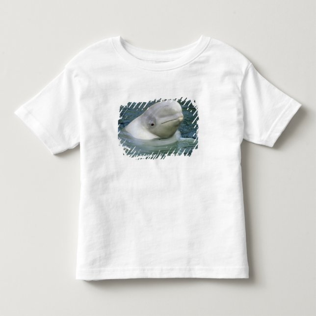 Vitval, Delphinapterus leucas) Tee Shirt (Framsida)