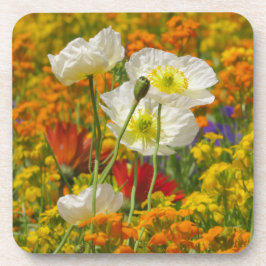 Vitvallmo som odlas runt färgade blommor underlägg