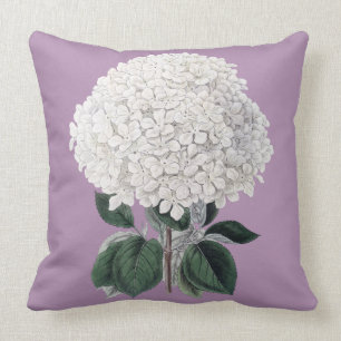 Vitvanlig hortensia dämpar kudde