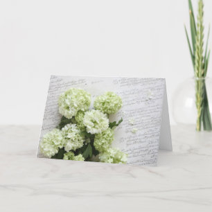 vitvanlig hortensia med skrivar kort
