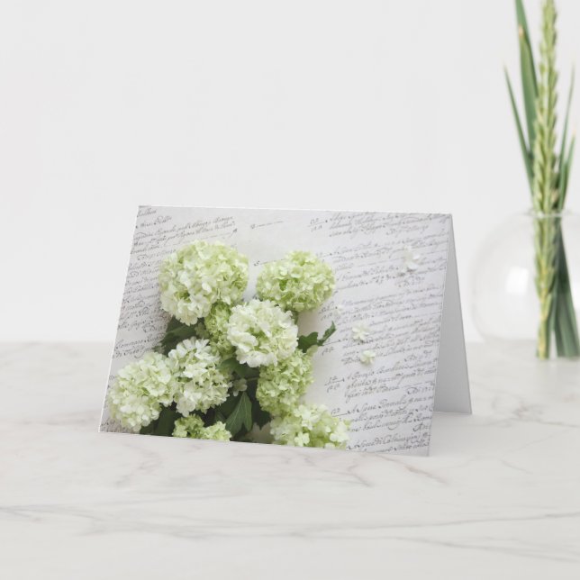 vitvanlig hortensia med skrivar kort (Framsida)