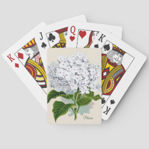 Vitvanlig hortensia som leker kort spel kort