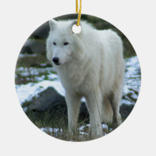 Vitvarg i vinter julgransprydnad keramik