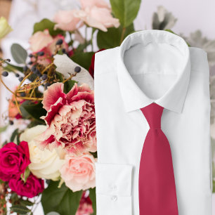 Viva Magenta som samordnar Bröllop Neck Tie Slips