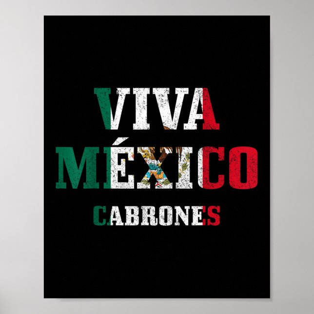 Viva Mexico Cabrones Funny Cinco De Mayo Mexican F Poster (Framsidan)
