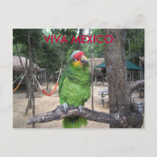 Viva Mexiko Vykort