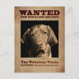Vivacious Vizsla Vykort