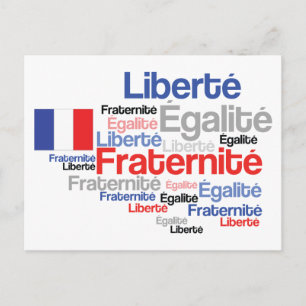 Vive La Frankrike Fransk Flagga Francophiles vykor Vykort
