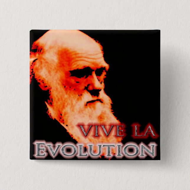 Vive Laevolution Redoux Knapp (Framsida)