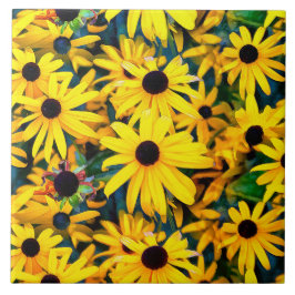 Vivid Black Eyed Susan Rudbeckia Melange Kakelplatta