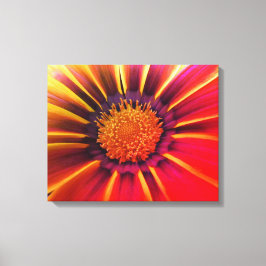 Vivid Färg Gerber Daisy Canvas