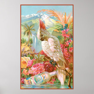 Vivid Flowers och Cockateil Poster
