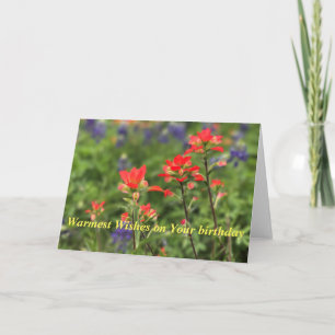 Vivid Indian Paintbrush Helgkort