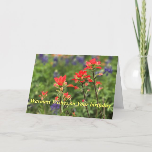 Vivid Indian Paintbrush Helgkort (Framsida)