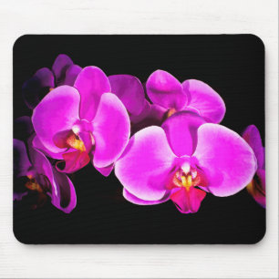 Vivid Orchid Musmatta