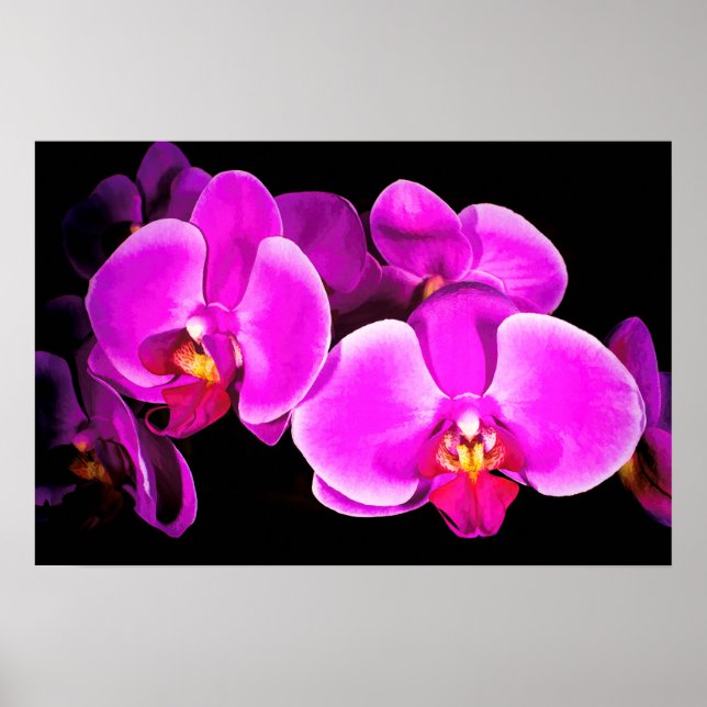 Vivid Orchid Poster (Framsidan)