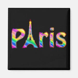 Vivid Paris Magnet